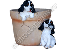 .11275      2526   414 +%.jpg