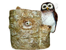 .11257      1416   340 +%.jpg