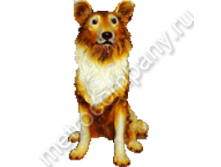 .12211      5842   989 +%.jpg