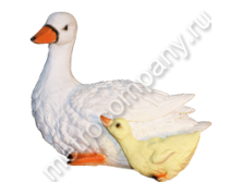 .12677       2722   398 +%.jpg