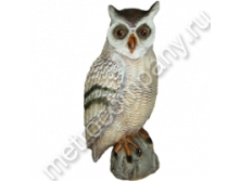 .12328     ( )  5025   744 +%.jpg