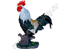 .12559     3337   885 +%.jpg