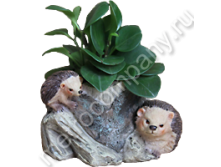 .NF12029-4   &#8470;4  1711   294+%.jpg