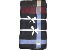 Мужские носовые платки Rallit 28X28 арт.49 17 руб