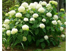 Screenshot 2017-05-08-21-44-34-1.png