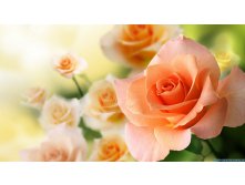 1363465636 2013-03-17 99 024.jpg