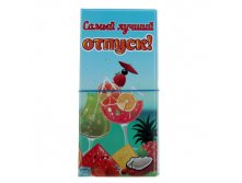 Конверт для документов туристический "Самый лучший отпуск" Китай; 0,4 см &#215; 10,5 см &#215; 21,8 см; Пластик; В боксе 180 шт. Арт.: 910098 137.50 руб.