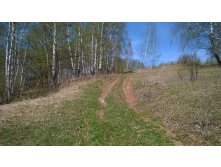 WP 20170501 054.jpg
