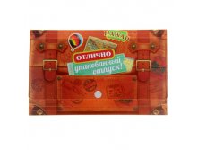 Конверт для документов туристический "Отлично упакованный отпуск" Китай; 1 см &#215; 22,7 см &#215; 14 см; Пластик; В боксе 100 шт. Арт.: 876470 181.50руб.