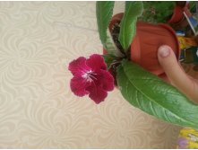 20170504 074151.jpg