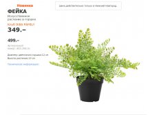 ФЕЙКА 80339851.jpg