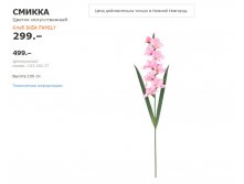 СМИККА 10335677.jpg