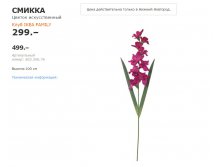 СМИККА 30335676.jpg