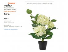 ФЕЙКА 40339730.jpg