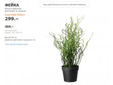 ФЕЙКА 30176979.jpg
