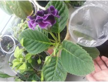 20170418 081120.jpg