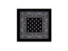 45 . - Paisley Acrylic 5555 
