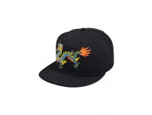 245 . - 13422  SnapBack