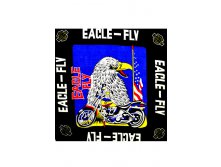 49,5 . - Eagle Fly ң   5555 