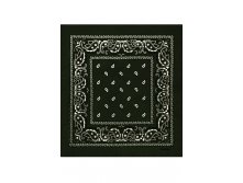 60 . - Paisley Cotton 5555 