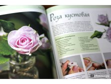 Полимерная глина. Техника. Приемы. Изделия.2.jpg