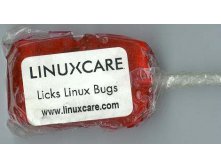 Linux Bug  