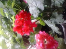 2016-05-18 17.06.47.jpg