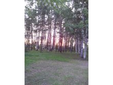 IMG 20170622 210901.jpg