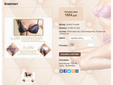 S1295+D1292 1884 ру.bmp