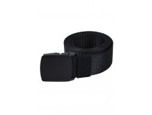 195 . - Plastic Buckle 120 