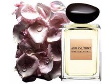 Rose Alexandrie Giorgio Armani 100  14000+%+