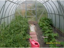 SDC11630.JPG