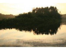 IMG 8402.JPG