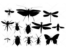 Depositphotos 112506000-stock-illustration-silhouettes-set-of-beetles-dragonflies.jpg