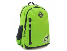  Olidik. 2527 green-600 