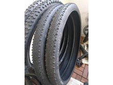 Schwalbe Thunder Burt