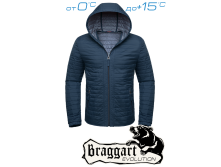  Braggart Status -  1295C  3100..png