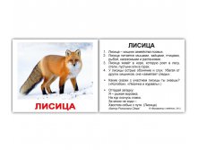 КОМПЛЕКТ КАРТОЧЕК МИНИ-40 "ДИКИЕ ЖИВОТНЫЕ" Артикул: 0904 - 159 руб.