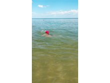 IMG 20170729 162327.jpg