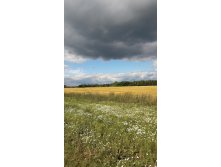 20170827 123824.jpg