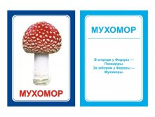 ЛОГОПЕДИЧЕСКИЕ КАРТОЧКИ "ЛОГОПЕДКА "Р"" Артикул: 0829 - 99 руб.