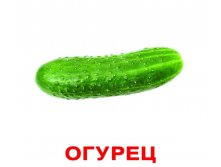 КОМПЛЕКТ КАРТОЧЕК &#8220;ОВОЩИ&#8221; Артикул: 0263 - 159 руб.