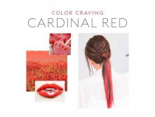 KEUNE COLOR CRAVING CARDINAL RED -      150  -924 