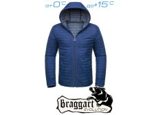  Braggart Status -  1295B  3100..png