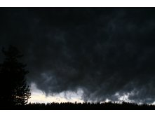 IMG 8509.JPG
