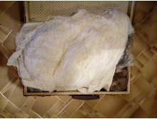 IMG 20170710 103512.jpg