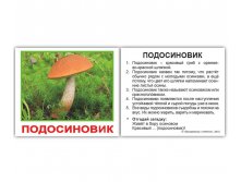 КОМПЛЕКТ КАРТОЧЕК МИНИ-20 "ГРИБЫ" Артикул: 0959 - 69 руб.