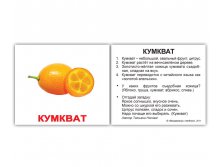 КОМПЛЕКТ КАРТОЧЕК МИНИ-40 "ФРУКТЫ" Артикул: 0485 - 129 руб.