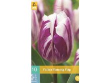 301 690, Tulipa Flaming Flag, 10   , 182+18%, 2.jpg