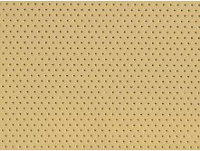 Holes Sand.jpg